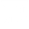 DetroitWick